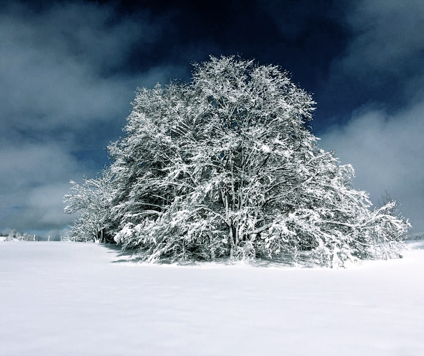 Un temps pour marcher, un pas vers SOI… Un temps pour marcher, un pas vers SOI…