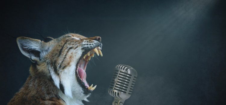 Dites OUI à votre propre liberté d’expression ! Dites OUI à votre propre liberté d’expression !