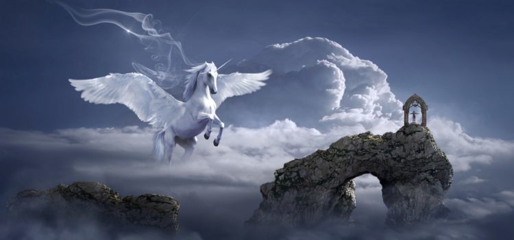 Ne pliez plus l’échine mais déployez vos ailes ! Ne pliez plus l’échine mais déployez vos ailes !